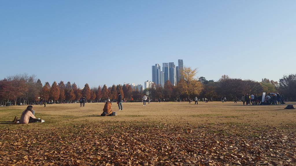 Seoul Forest Guesthouse Zewnętrze zdjęcie