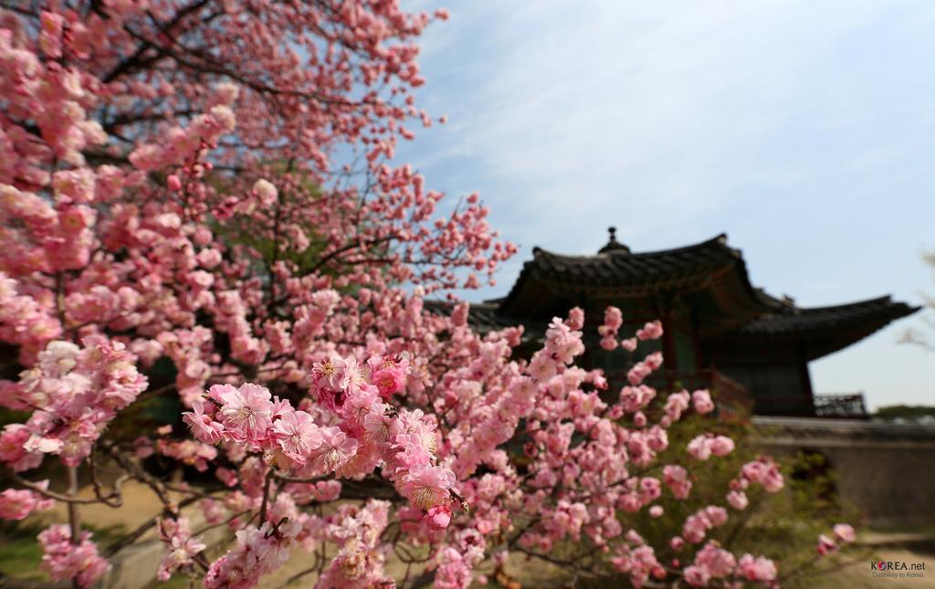 Seoul Forest Guesthouse Zewnętrze zdjęcie