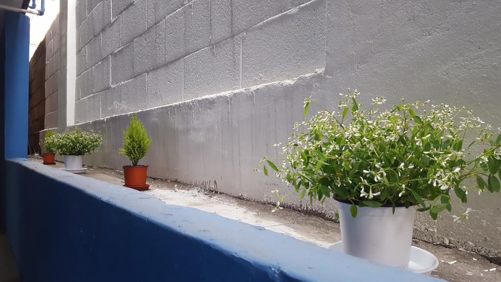 Seoul Forest Guesthouse Zewnętrze zdjęcie