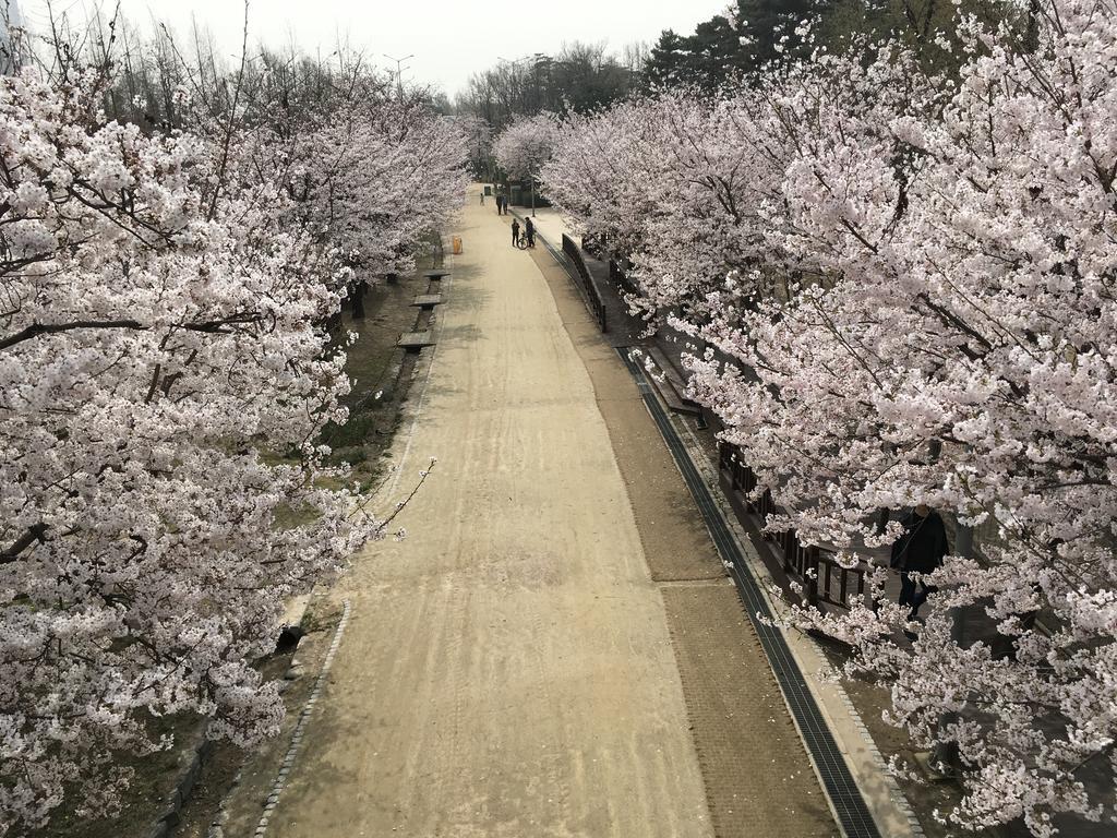 Seoul Forest Guesthouse Zewnętrze zdjęcie