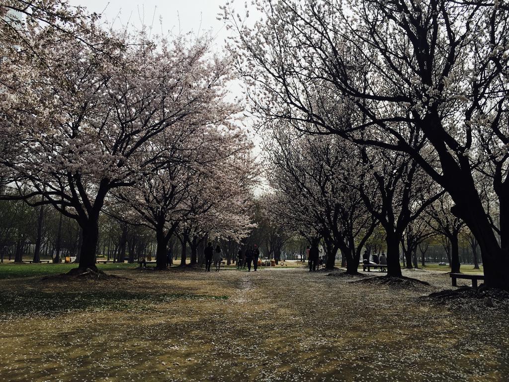Seoul Forest Guesthouse Zewnętrze zdjęcie