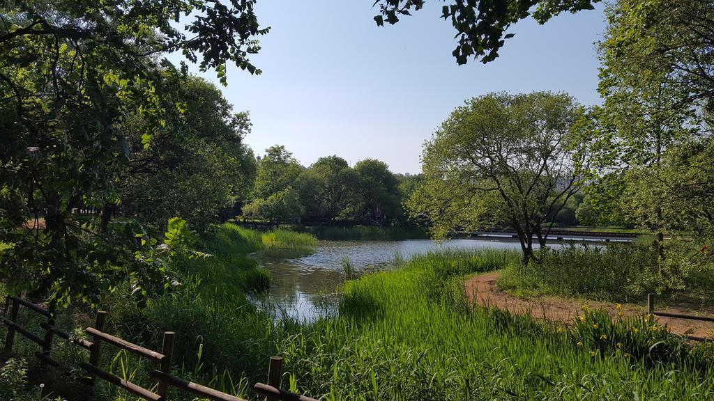 Seoul Forest Guesthouse Zewnętrze zdjęcie