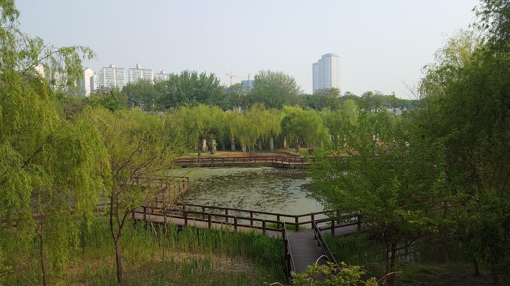 Seoul Forest Guesthouse Zewnętrze zdjęcie