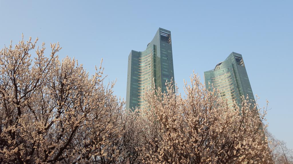 Seoul Forest Guesthouse Zewnętrze zdjęcie